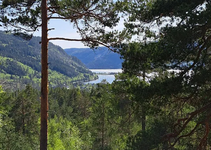 The Sisters Landeskogen Grendi